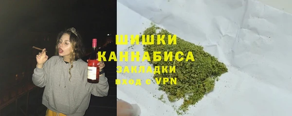 apvp Няндома