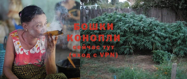 apvp Няндома