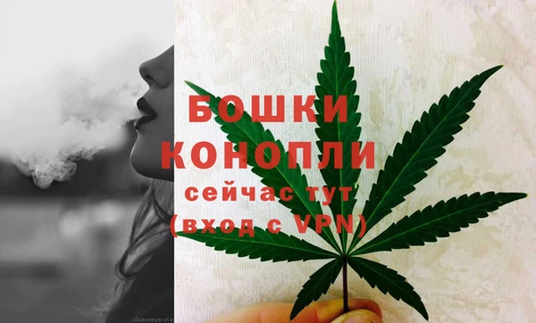 гидропоника Менделеевск